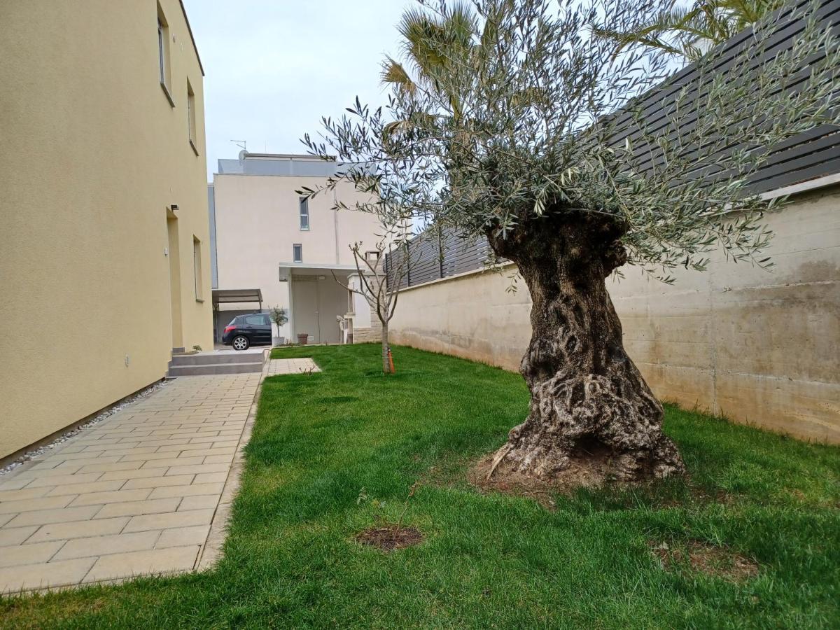 Apartments Leon 2 Novigrad  Bagian luar foto